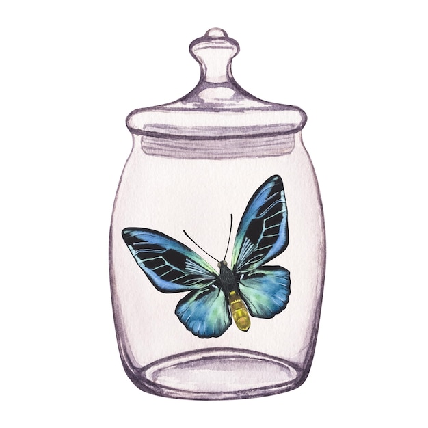 Farfalla all'interno di un vaso di vetro trasparente Illustrazione dell'acquerello disegnata a mano isolata su bianco