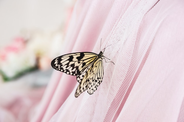 Farfalla gialla su un abito di chiffon rosa
