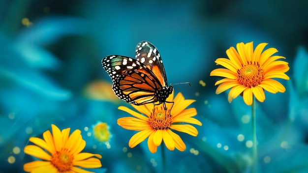 Farfalla monarca arancione brillante su fiori gialli in un giardino estivo