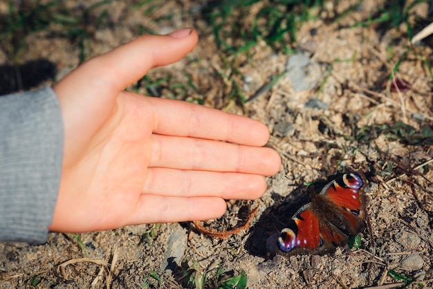 Farfalla rossa tenera vicino alla mano del bambino