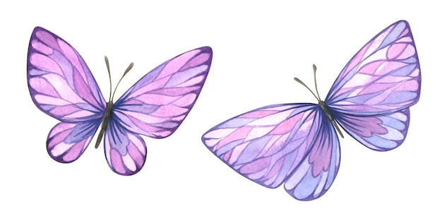 Farfalle lilla con elementi grafici stilizzati Due oggetti isolati acquerello da un grande set Lavender SPA Per la decorazione e il design composizioni di cartoline poster adesivi