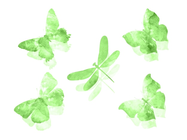 Farfalle verdi isolate su priorità bassa bianca. falene tropicali. insetti per il design. colori ad acquerello