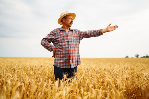 Farmer nel cappello che controlla i progressi del campo di grano tenendo tablet utilizzando internet Agricoltura digitale