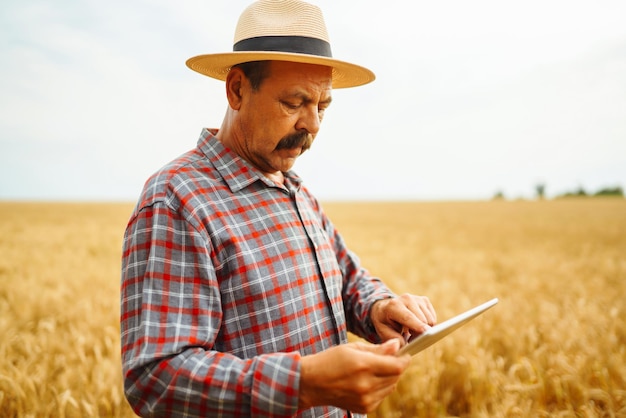 Farmer nel cappello che controlla i progressi del campo di grano tenendo tablet utilizzando internet Agricoltura digitale