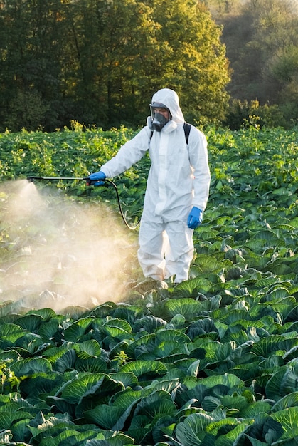 Farmer spruzzando maschera da campo di pesticidi raccolto chimico protettivo