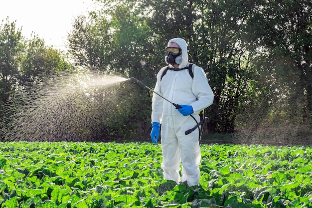 Farmer spruzzando pesticidi campo maschera raccolta chimica protettiva