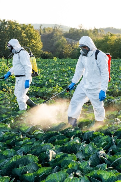 Farmer spruzzando pesticidi campo maschera raccolta chimica protettiva