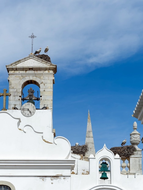 FARO, ALGARVE MERIDIONALE/PORTOGALLO - 7 MARZO: Cicogne a Faro in Portogallo il 7 marzo 2018