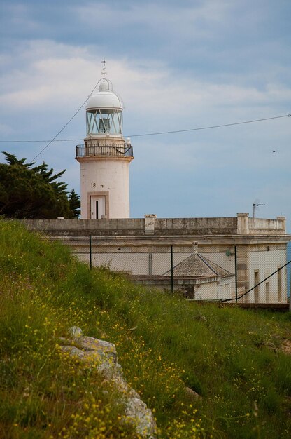 Faro delle rose