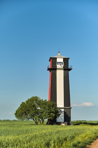 Faro in bianco e nero in un campo di grano verde