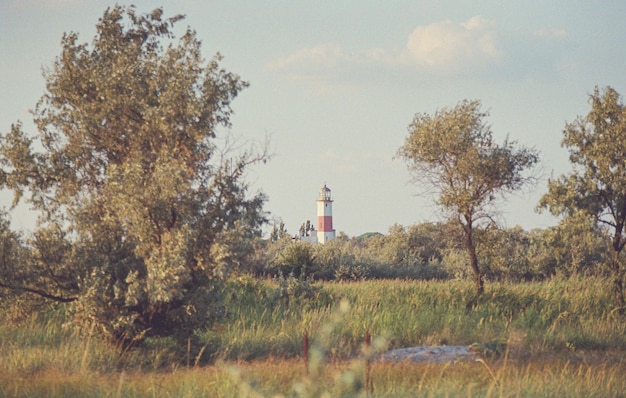 Faro in tempo soleggiato in estate con grandi alberi