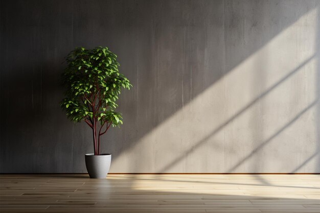 Fascino minimalista Una stanza buia, pianta in vaso, parete in cemento, pavimento in legno
