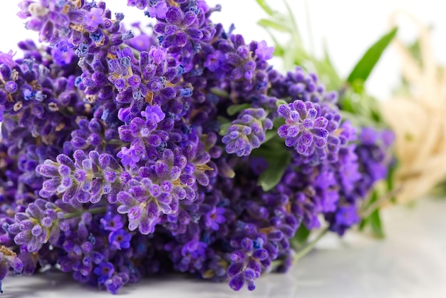 Fascio di fiori di lavanda aromatici su uno sfondo bianco fiori di lavanda mattutini isolati