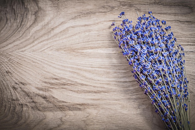 Fascio di lavanda essiccata