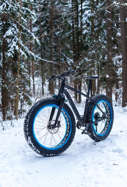 Fatbike nella foresta invernale