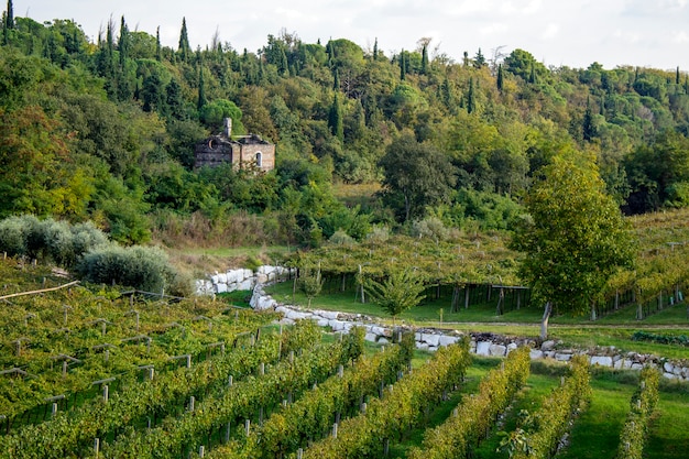 Fattoria abbandonata nei pressi di un torrente in mattoni.