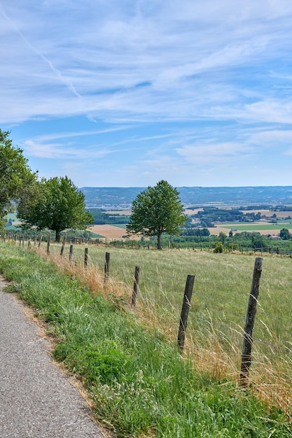 Fattoria con prati lussureggianti e colline in campagna contro uno sfondo di copyspace cielo blu nuvoloso Paesaggio panoramico di un campo verde vuoto con un ambiente tranquillo nella natura in una giornata di sole all'aperto