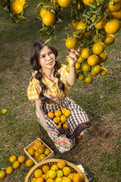 Fattoria di arance asiatiche nel nord della Thailandia.