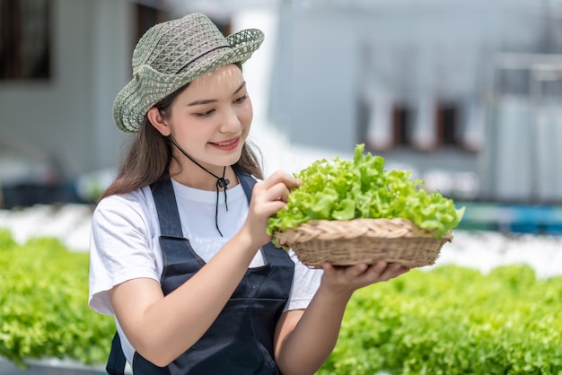 Fattoria di ortaggi idroponici. Sorriso della giovane donna asiatica che raccoglie verdure dalla sua fattoria idroponica.
