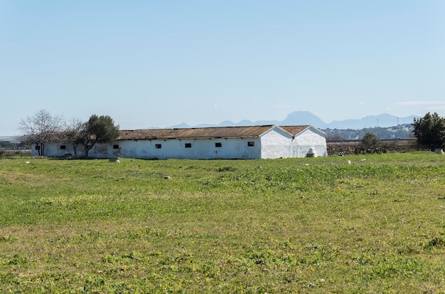 Fattoria in campagna