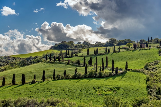 Fattoria in Val d'Orcia Toscana