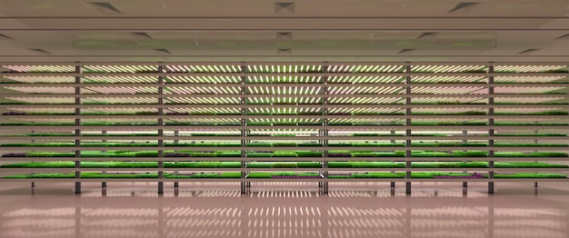 Fattoria verticale indoor Fabbrica di piante di microgreens idroponica Piano