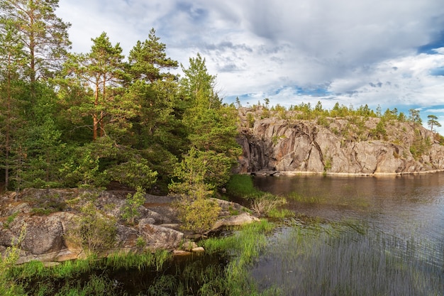 Fauna selvatica del lago Ladoga