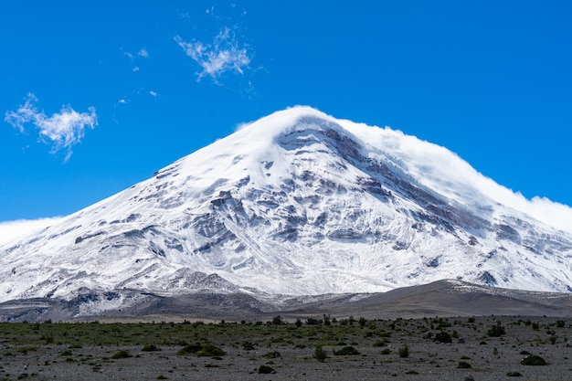 Fauna selvatica presso la Riserva Faunistica Chimborazo in Ecuador