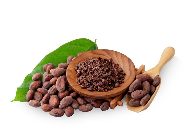 Fava di cacao non sbucciata isolata