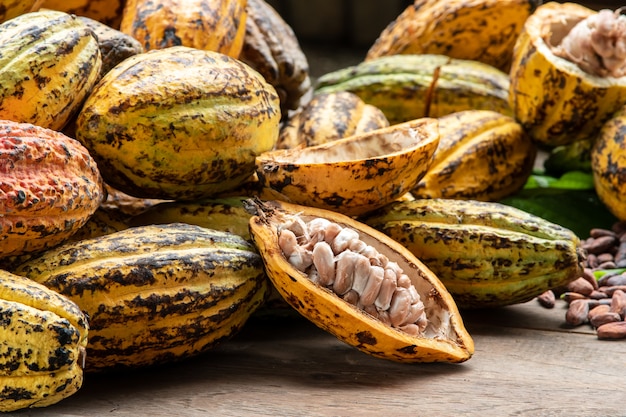 Fave di cacao e baccello di cacao su una superficie di legno.