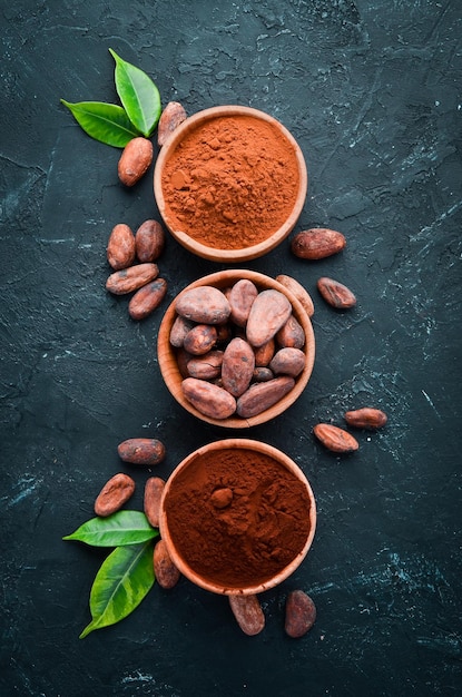 Fave di cacao La polvere di cacao è scura e chiara Su sfondo nero Vista dall'alto