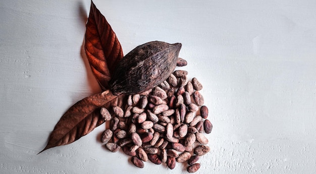 Fave di cacao marroni baccelli di cacao marroni e frutta secca di cacao con foglie su fondo bianco in legno