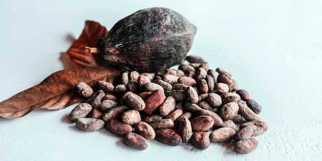 Fave di cacao marroni baccelli di cacao marroni e frutta secca di cacao con foglie su fondo bianco in legno