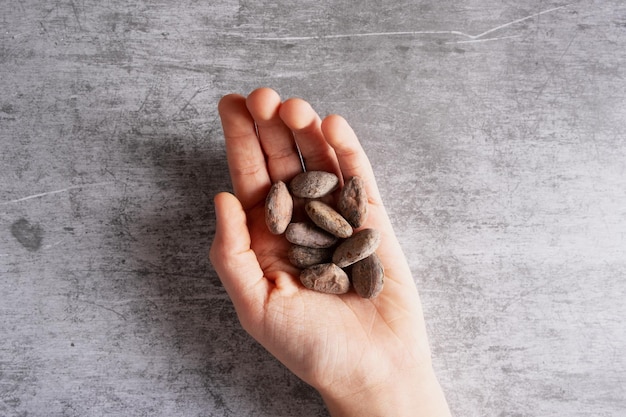 Fave di cacao nelle mani di un ragazzo su uno sfondo di cemento grigio