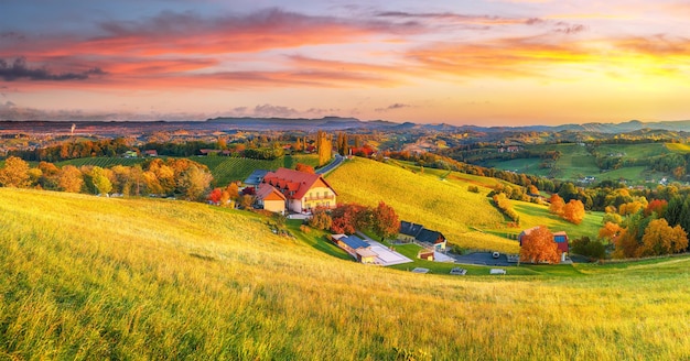 Favoloso paesaggio di vigneti nella Stiria meridionale vicino a Gamlitz