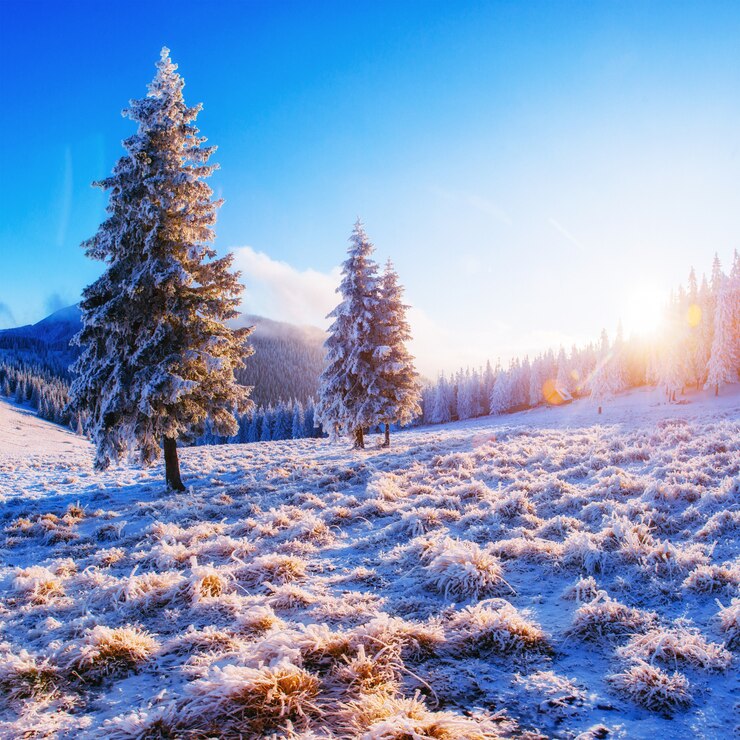 Foto favoloso paesaggio invernale