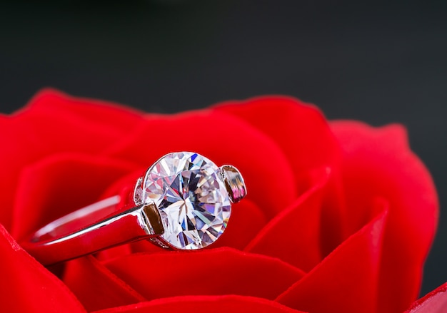 Fedi nuziali del diamante sulle rose rosse