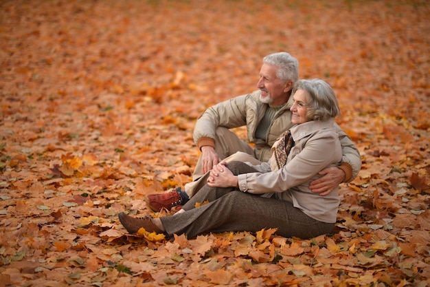 Felice bella coppia senior nel parco autunnale