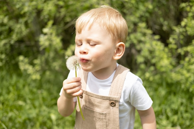 Felice carino bambino biondo che soffia fiore di dendelion nel parco verde.