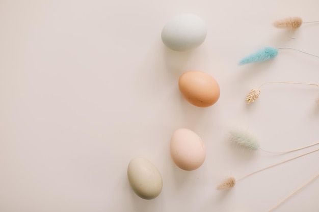 Felice concetto di Pasqua Uova di pollo fresche di sfumature e colori naturali su sfondo bianco