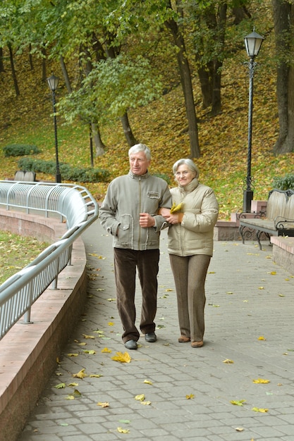 Felice coppia di anziani che camminano insieme al parco d'autunno