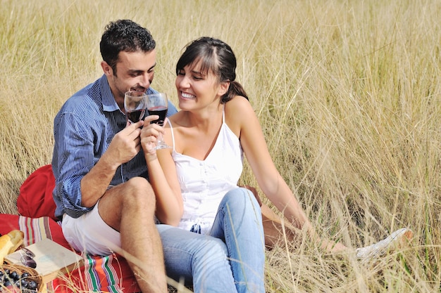 felice coppia giovane godendo picnic in campagna nel campo e divertirsi