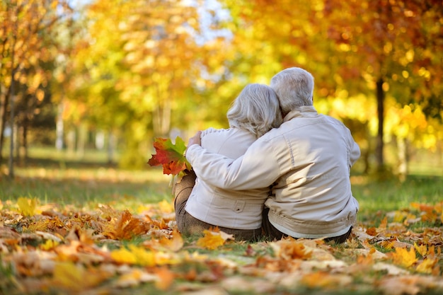 Felice coppia matura in posa all'aperto in autunno