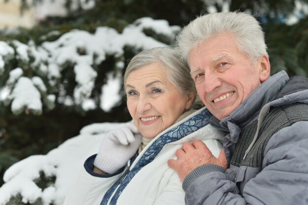 Felice coppia senior che cammina in inverno all'aperto