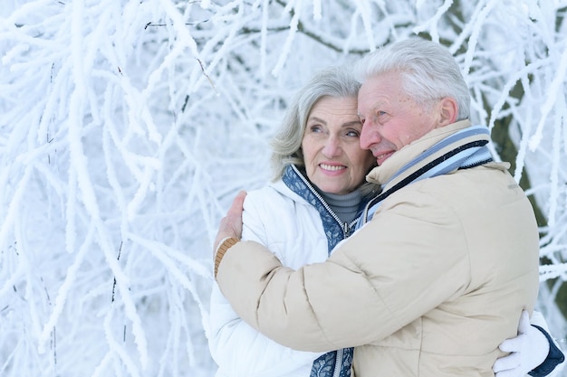 Felice coppia senior in posa in inverno all'aperto