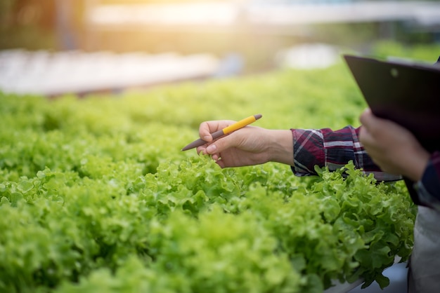 Felice di giovane donna asiatica all'azienda agricola di verdure