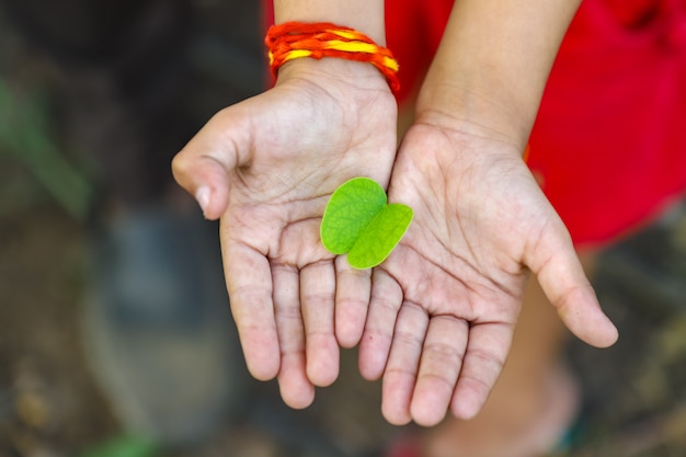 Felice Dussehra, foglia verde in mano