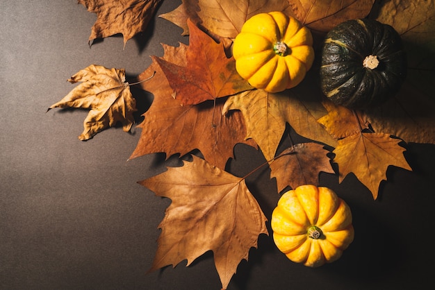 Felice giorno del ringraziamento con zucca e foglie di acero