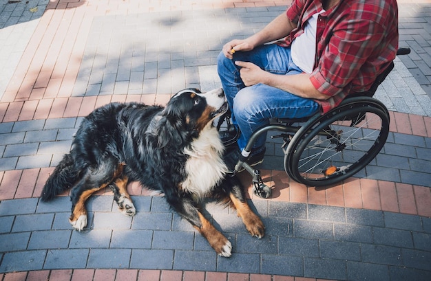 Felice giovane con disabilità fisica su una sedia a rotelle con il suo cane