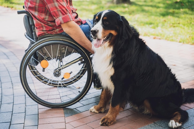 Felice giovane con disabilità fisica su una sedia a rotelle con il suo cane